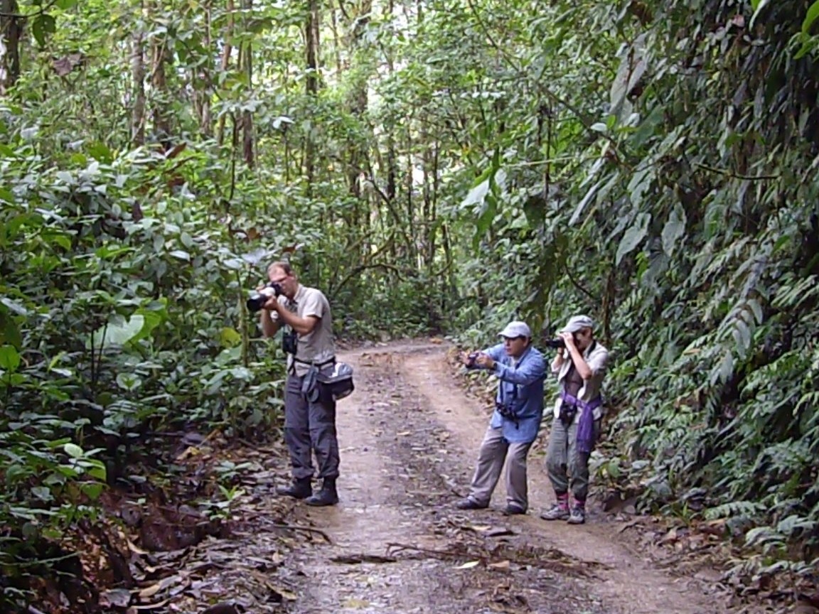 Cloud_Forest_tour_by_B