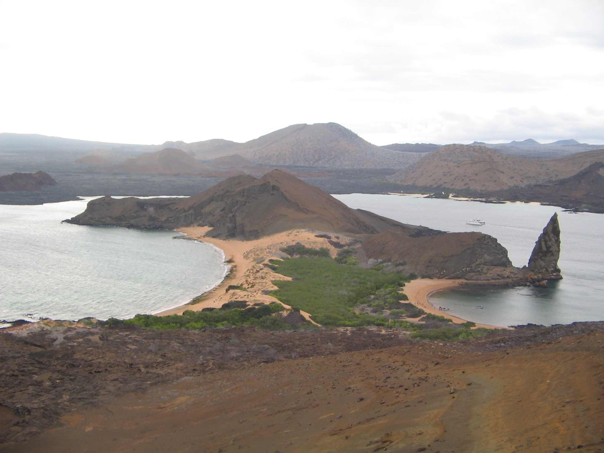 Galapagos_Dic._07_-_027