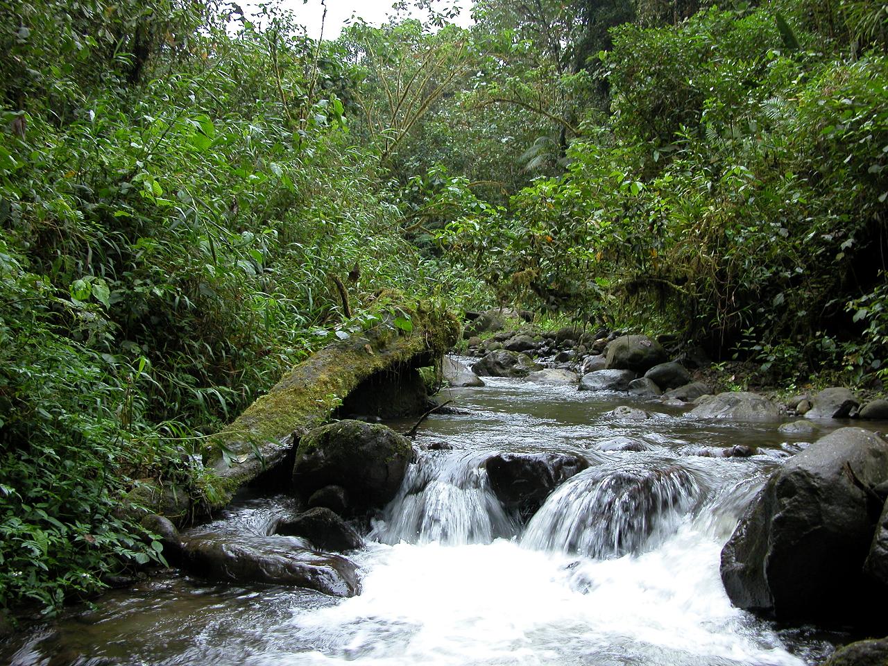 Santa_Rosa_River_at_Las_Gralarias